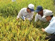 NSC đặt tham vọng doanh thu 2.000 tỷ đồng